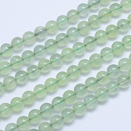 Round Natural Prehnite Beads Strands, Grade AA, 8mm, Hole: 1mm, about 47pcs/strand, 15.5 inches(G-L417-12-8mm)