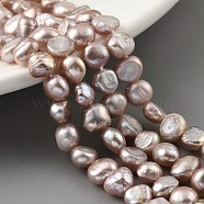 Natural Cultured Freshwater Pearl Beads Strands, Two Sides Polished, Thistle, 5~6mm, Hole: 0.5mm, about 31pcs/strand, 6.89''(17.5cm)(PEAR-A006-04C)