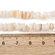 Natural Freshwater Shell Beads Strands(SH-CBA2978-01)-4