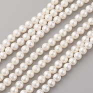 Natural Cultured Freshwater Pearl Beads Strands, Round, Seashell Color, 7~8x8~9mm, Hole: 0.5mm, about 53pcs/strand, 15.5~15.7 inch(39.5~40cm)(PEAR-G007-38)