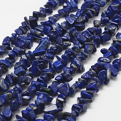 Natural Lapis Lazuli Beads Strands, Chip, Grade A, Blue, 3~5x7~13x2~4mm, Hole: 0.4mm, 32 inch(X-G-F328-29)