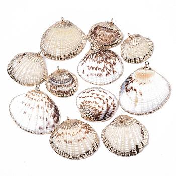 Electroplate Sea Shell Pendants, with Iron Findings, Light Gold, Seashell Color, 20~26x22~30x7~9mm, Hole: 1mm