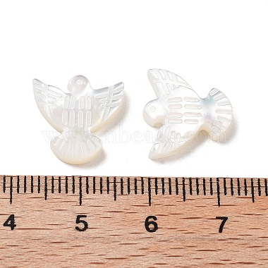 perles de coquillages naturels(BSHE-H017-02)-4