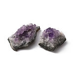 Natural Drusy Amethyst Display Decorations, Raw Amethyst Cluster, Nuggets, 25~44x18~35x14.5~27mm(G-WH0021-31A)