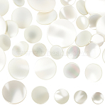 30Pcs 5 Styles 1-Hole Natural Shell Shank Buttons, Flat Round, Platinum, White, 10.5~20.5x5.5~6.5mm, Hole: 2.5~3.5mm, 6pcs/style(BUTT-CY0001-37)