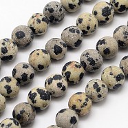 Natural Dalmatian Jasper Beads Strands, Frosted, Round, 6mm, Hole: 0.8mm, about 60pcs/strand, 14.1 inch(G-D685-6mm)