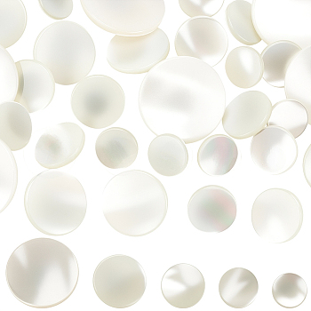 30Pcs 5 Styles 1-Hole Natural Shell Shank Buttons, Flat Round, Platinum, White, 10.5~20.5x5.5~6.5mm, Hole: 2.5~3.5mm, 6pcs/style