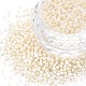 13/0 Glass Seed Beads(SEED-T005-14A-A08)-1