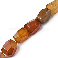 Natural Red Agate Beads Strands, Faceted, Dyed & Heated, Nuggets, 16~17x11~13x11~13mm, Hole: 1.5mm, about 13pcs/strand, 8.46~8.58 inch(21.5~21.8cm)(G-F743-04I)