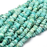 Natural Amazonite Chip Beads Strands, 4~14x4~12mm, Hole: 1mm, about 15.3 inch~16.1 inch(G-E271-108)