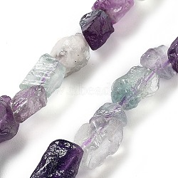 Raw Rough Natural Fluorite Beads Strands, Nuggets, 6.5~9x5~6x3~5mm, Hole: 0.8mm, about 26~30pcs/strand, 7.48''~8.46''(19~21.5cm)(G-P528-B09-01)