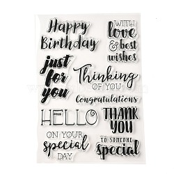 TPR Words Transparent Stamps, for DIY Scrapbooking, Photo Album Decorative, Cards Making, Birthday Themed Pattern, 21x15x0.3cm, Pattern: 4~74x9~94mm.(DIY-G034-01A)