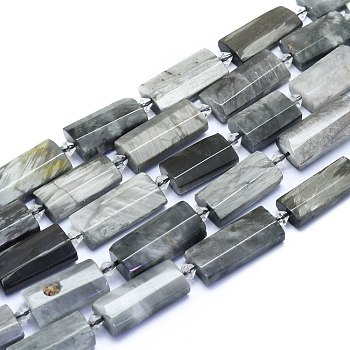 Natural Eagle Eye Stone Beads Strands, Rectangle, Faceted, 27~29x13~14x6~7mm, Hole: 1.5mm, about 12pcs/Strand, 14.96 inch(38cm)