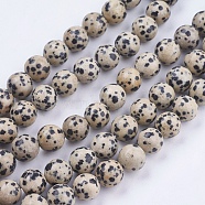 Natural Dalmatian Jasper Stone Bead Strands, Round, 10mm, Hole: 1mm, about 38pcs/strand, 14.9 inch(G-R193-14-10mm)
