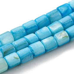 Natural Freshwater Shell Beads Strands, Dyed, Column, Deep Sky Blue, 4~5.5x5mm, Hole: 0.6mm, about 74~75pcs/strand, 14.76~14.96 inch(37.5~38cm)(SHEL-F008-04D)