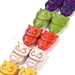 Owl Synthetic Turquoise Beads Strands, Dyed, Mixed Color, 30x20x8mm, Hole: 1mm, about 155pcs/1000g(TURQ-I010-28)