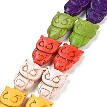 Owl Synthetic Turquoise Beads Strands, Dyed, Mixed Color, 30x20x8mm, Hole: 1mm, about 155pcs/1000g