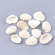Spiral Shell Charms, Shell, Creamy White, 21~29.5x17.5~24x6~10.5mm, Hole: 1.2mm(SSHEL-S251-14)