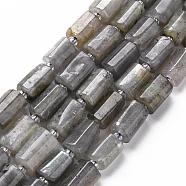Natural Labradorite Beads Strands, Faceted, Column, 8~11x6~8x5~7mm, Hole: 1mm, about 15~17pcs/strand, 7.28~7.48 inch(G-S345-8x11-001)