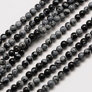 Natural Snowflake Obsidian Round Bead Strands, 2mm, Hole: 0.8mm, about 184pcs/strand, 16 inch(G-A130-2mm-17)