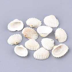Spiral Shell Charms, Shell, Creamy White, 21~29.5x17.5~24x6~10.5mm, Hole: 1.2mm(SSHEL-S251-14)