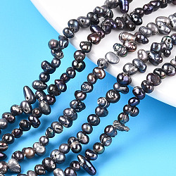 Natural Cultured Freshwater Pearl Beads Strands, Dyed, Potato, Prussian Blue, 3.5~8.5x3~4.5mm, Hole: 0.5mm, about 127~135pcs/strand, 14.76 inch~15.35 inch(37.5cm~39cm)(PEAR-S021-239)