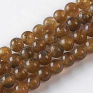 Natural Labradorite Beads Strands, Round, 4mm, Hole: 1mm, about 96~99pcs/strand, 16.14 inch(41cm)(G-G813-02)