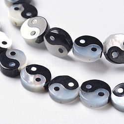 Feng Shui White Shell Bead Strands, with Natural Black Agate, Flat Round, Yin Yang, Black, 8x2.5mm, Hole: 0.5mm, about 24pcs/strand, 8.1 inch(SSHEL-H066-02)