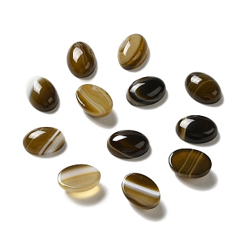 Natural Banded Agate Cabochons, Dyed & Heated, Oval, Coffee, 12x16x6.5mm