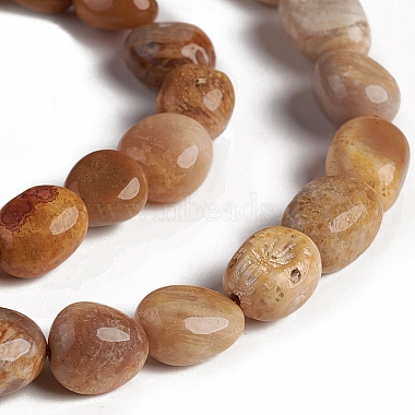 Natural Fossil Coral Beads Strands(X-G-D0002-D78)-3