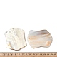 Natural Freshwater Shell Pendants(SHEL-K006-55)-3