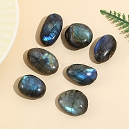 Natural Labradorite Figurines for Home Desktop Decoration, Oval, 25~45mm(PW-WG12971-02)