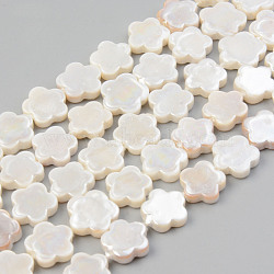 Electroplate Natural Freshwater Shell Beads Strands, Flower, Seashell Color, 10.5x11x3mm, Hole: 0.8mm, about 35pcs/strand, 14.84 inch~14.96 inch(37.7cm~38cm)es(37.7cm~38cm)(X-SHEL-T017-08)