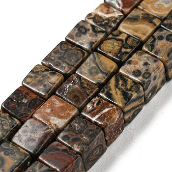 Natural Leopard Skin Jasper Beads Strands, Cube, 6~6.5x6~6.5x6~6.5mm, Hole: 1.2mm, about 63~64pcs/strand, 15''~15.16''(38.1~38.5cm)