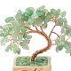 Heart Money Tree Natural Natural Green Aventurine Bonsai Display Decorations(DJEW-G027-16RG-04)-4