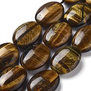 Natural Tiger Eye Beads Strands, Flat Oval, Yellow, 25x18x8~9mm, Hole: 0.9~1mm, about 8pcs/strand, 7.72''~7.87''(19.6~20cm)(G-P528-D03-01)