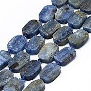 Natural Kyanite/Cyanite/Disthene Beads Strands, Frosted, Rectangle, 14~17x11~13x5~6mm, Hole: 1mm, about 21~23pcs/strand, 15.75~16.14 inch(40~41cm)(G-F725-03)