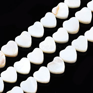 Natural Freshwater Shell Beads Strands, Heart, 8x8x3mm, Hole: 0.8mm, about 44pcs/strand, 14.37 inch(36.5~37cm)(SHEL-N026-152)