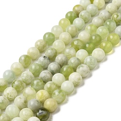 Natural New Jade Beads Strands, Round, 6mm, Hole: 1mm, about 60~62pcs/strand, 14.96''(38cm)(G-K340-A01-01)