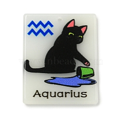 Acrylic Pendants,
Constellation Cat, Aquarius, 34x27x2.5mm, Hole: 2mm(MACR-U005-09B)