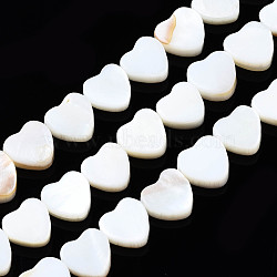 Natural Freshwater Shell Beads Strands, Heart, 8x8x3mm, Hole: 0.8mm, about 44pcs/strand, 14.37 inch(36.5~37cm)(SHEL-N026-152)