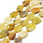 Natural Yellow Opal Beads Strands, Nuggets, 13~17x11~13x4~6mm, Hole: 0.8mm, about 24~25pcs/strand, 16.54 inch(42cm)(G-K245-L01-01)