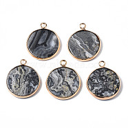 Natural Map Stone Pendants, with Golden Plated Brass Edge and Loop, Flat Round, 25x21x3.5mm, Hole: 2mm(G-Q998-010A)