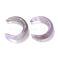 Natural Amethyst Beads, No Hole, for Wire Wrapped Pendant Making, Double Horn/Crescent Moon, 31x28x6.5mm(G-J366-12)