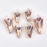 Electroplate Spiral Shell Pendants, with Iron Findings, Golden, Seashell Color, 38~55x18~27x9~10mm, Hole: 1.8mm(SSHEL-T008-09)