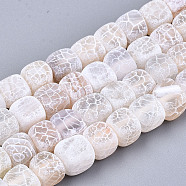 Natural Weathered Agate Beads Strands, Frosted, Dyed, Cube, White, 6~7.5x6~8x6~8mm, Hole: 1.2mm, about 50pcs/strand, 13.58 inch~13.78 inch(34.5cm~35cm)(G-T131-57)