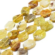Natural Yellow Opal Beads Strands, Nuggets, 13~17x11~13x4~6mm, Hole: 0.8mm, about 24~25pcs/strand, 16.54 inch(42cm)(G-K245-L01-01)