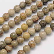 Natural Fossil Coral Round Bead Strands, 6mm, Hole: 1mm, about 62pcs/strand, 15.5 inch(X-G-N0166-05-6mm)