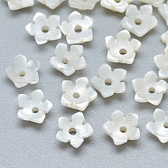 Natural White Shell Beads, Mother of Pearl Shell Beads, Flower, Seashell Color, 6x6x2.5mm, Hole: 1mm(SSHEL-S260-014)