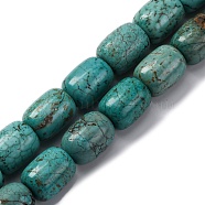 Natural Howlite Beads Strands, Barrel, Dyed, 17~18x13~13.5mm, Hole: 1.2mm, about 23pcs/strand, 15.75 inch(40cm)(G-F783-H05-01)